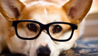 眼科醫(yī)生為什么不做近視手術？答案來啦！